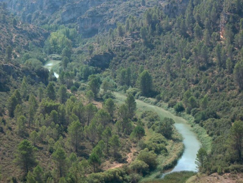 Casa Rural Parajes Del Jucar Casas de Benítez Екстериор снимка